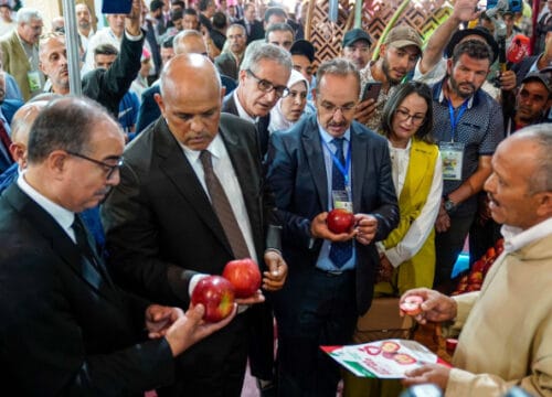 Festival de la Pomme de Midelt